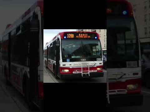 109B Ranee External (SB) #toronto #torontotransit #ttc #externals #109Ranee #transitexternals #bus
