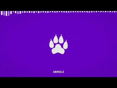 Video thumbnail for Animals
