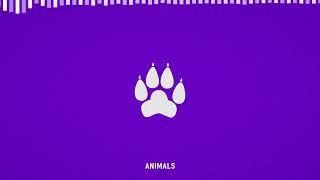 Animals Music Video