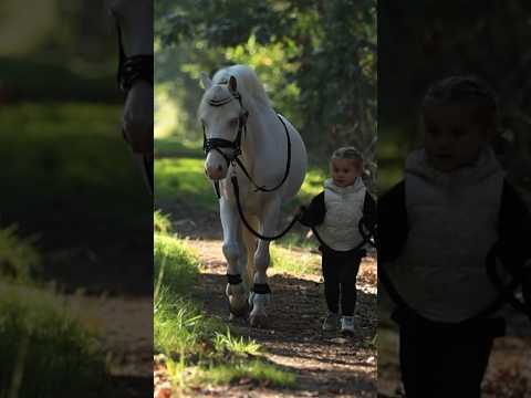 Two-Year-Old Mae & Nugget's Magical Treasure Hunt!
