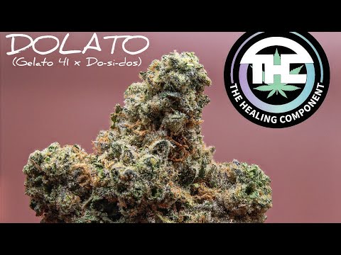 Strain Tasters Cannabis Reviews - Dolato