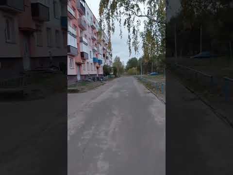 фото деревня мышанка, мышанский сельсовет, петриковский район, гомельская область, 2 комн., 47 м² 0