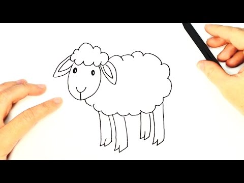 How to draw a Sheep for Kids | Sheep Easy Draw Tutorial ...