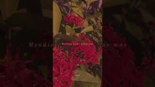 Download lagu Story wa timbang kowe ora iso ngerti kahanane (baik baik saja) mp3