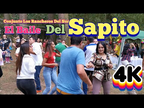 El Baile Del Sapito Conjunto Los Rancheros Del Sur