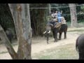 India Trip December 2010