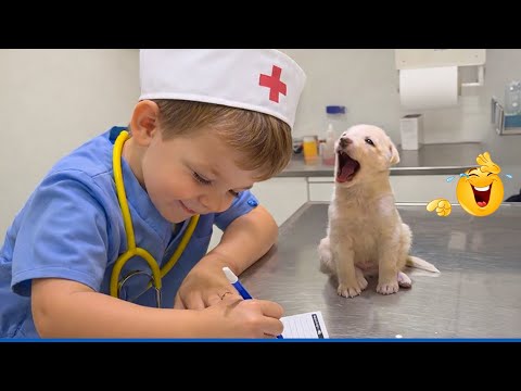 Super Funny Dog Video Clips  😹🐶 The Funniest Cat & Dog Moments Compilation 😁