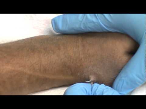 download lagu mp3 mp4 Pinns, download lagu Pinns gratis, unduh video klip Download Pinns Mp3 dan Mp4 Youtube Gratis