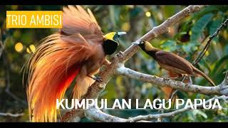 Download lagu Trio Ambisi | Tembang Papua mp3