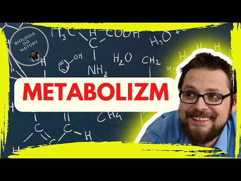 Podstawowe zasady metabolizmu | Szlak, cykl metaboliczny | ATP | Anabolizm, katabolizm | Redox NAD |