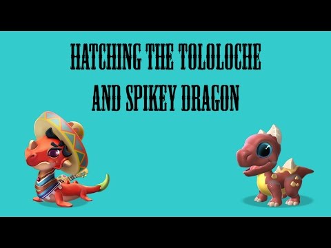 Hatching the Tololoche and Spikey Dragon | Dragon Mania Legends #17