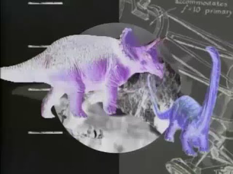 BILL BILL BILL BILL BILL 10 HOURS