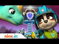 PAW Patrol Dino Rescue On Christmas Nick Jr
