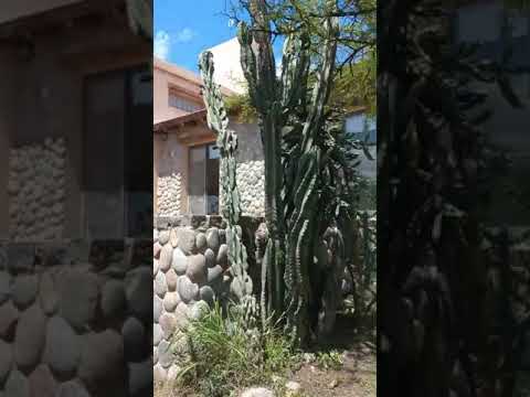 Casa venta permuta Los Aromos Córdoba 2