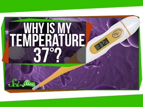 Why Is My Body Temperature 37 Degrees?