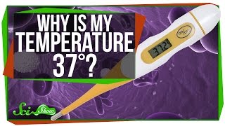 Why Is My Body Temperature 37 Degrees?