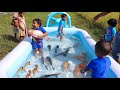 Sneyha, Arbin & Javan Fun Playing With Real Fish in Inflatable Swimming pool - Cute Sneyha's Show