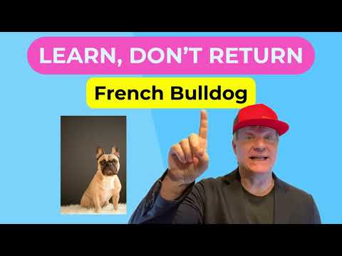 🐶French Bulldog- Learn📚, Don't🚫Return↩️ #petzpaws#frenchbulldog #frenchie #learndontreturn