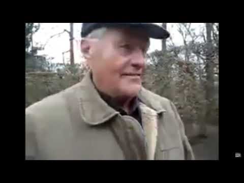 Streit der Organe - Wer ist hier der Boss ...