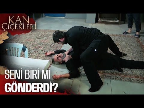 Baran'a Düzenlenen Suikast - Kan Çiçekleri 397. Bölüm