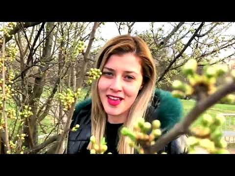 #NELS#ALEKSANDYR_TOMOV#Spring#Cover