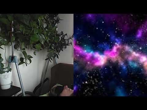 HIPN REGRESIVA1964 FLORIAN SI PAGUBELE COMUNITATII ANC A SI C MORARU