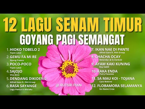 12 Lagu Senam Timur - Goyang Pagi Semangat