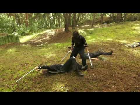 Pomozte nám dostat se na festival "Czech National Day" v LA