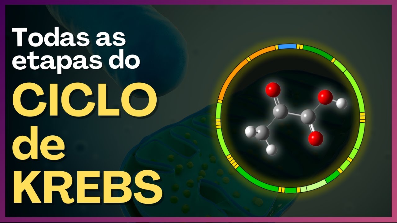 O Ciclo de Krebs como você nunca viu! #udq10x cursosuniversidadedaquimica