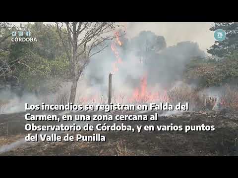 Marcos Juárez: Prevención para incendios forestales. Más detalles