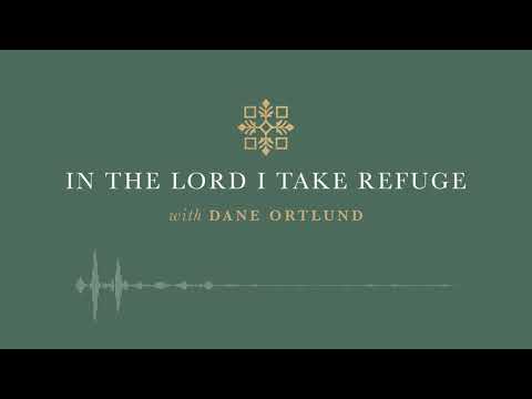 In the Lord I Take Refuge: Psalm 42 - Why Are You Cast Down, O My Soul?