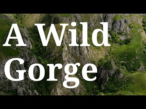 Wild George Drive The Wild Gorge | peterlengyel