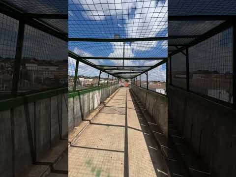 Passarela de Macatuba inteiror de São Paulo. #mtb #cycling #ride