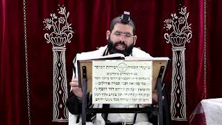 זבחים דף קט"ו ע"א ¤ הרב נתנאל אברז'ל ¤ בית הכנסת "בית מרדכי" (מוסדות תורת דוד) - התמונה מוצגת ישירות מתוך אתר האינטרנט יוטיוב. זכויות היוצרים בתמונה שייכות ליוצרה. קישור קרדיט למקור התוכן נמצא בתוך דף הסרטון