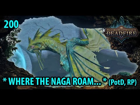 Pillars of Eternity 2 Deadfire Turn-Based Path of the Damned SHADOW UNDER NEKETAKA (Roleplay) #200