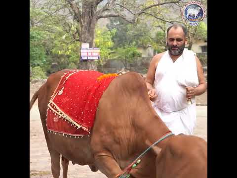 About Krishnayan Video Thumbnail