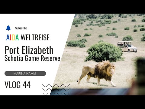 VLOG 44 - PortElizabeth Tag 2 - Schotia Privat Game Reserve - Südafrika - Weltreise AIDAsol 2024