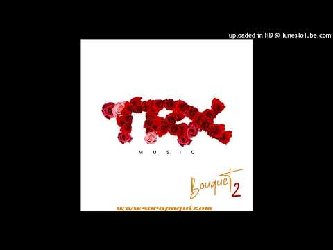 TRX Music - Party (Video Audio)