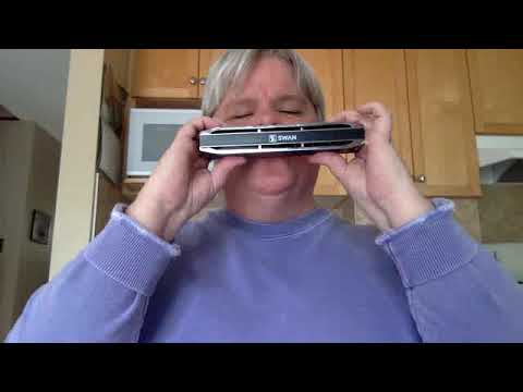 Happy Birthday on 64 Note Chromatic Harmonica - Take 2