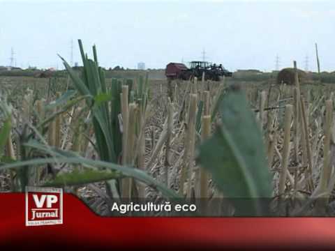 Agricultură eco