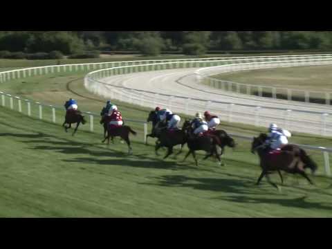 2017.07.30. 8. futam - KISBÉR DÍJ (HUN Gd-2) (NGL - V.)