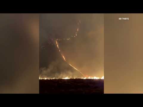 Help Fight Wildfires & Protect Indonesia's Forest