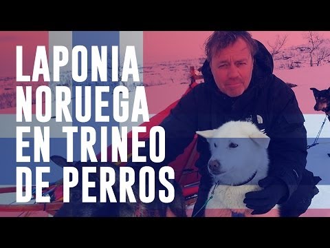 Laponia noruega en trineo de perros - Secretos