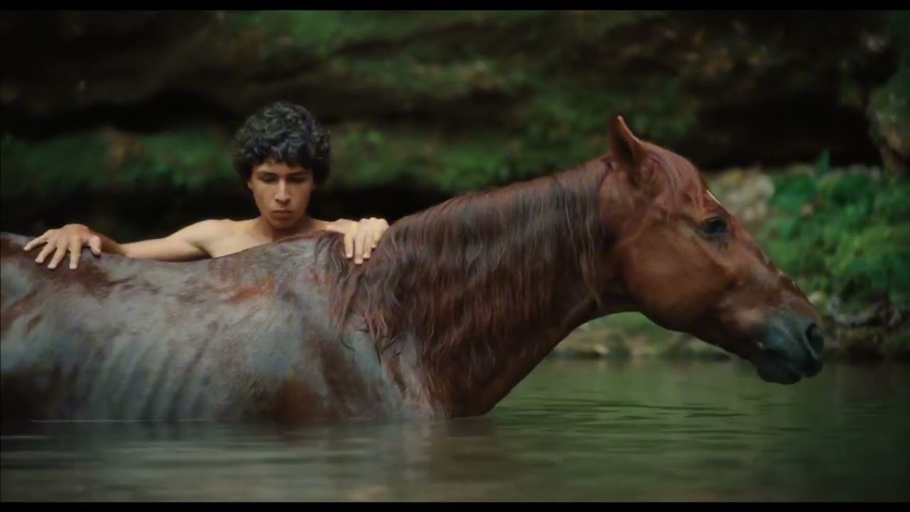 One of the Year’s Most Moving Films