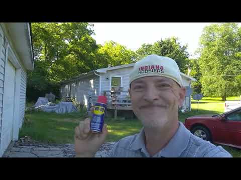 HOW TO KILL WASPS AND HORNETS WITH WD-40! #pestcontrol #wasp #wasps #hornet #hornets #bees #lifehack