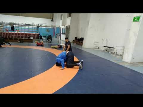 Fortalecer el cuello en luchas asociadas: Plan Sexenal