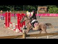 Poney de CSO, loisir 