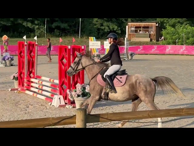Poney de CSO, loisir 