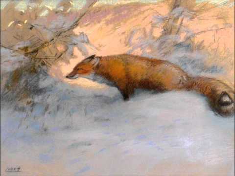 Janáček: The Cunning Little Vixen - Orchestral Suite from the Opera