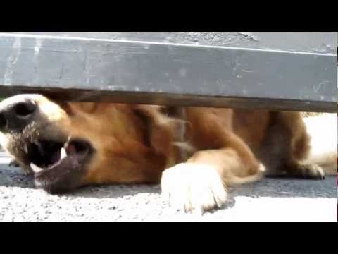 Tenerife Sk8 Experience - Back to Germany Spot